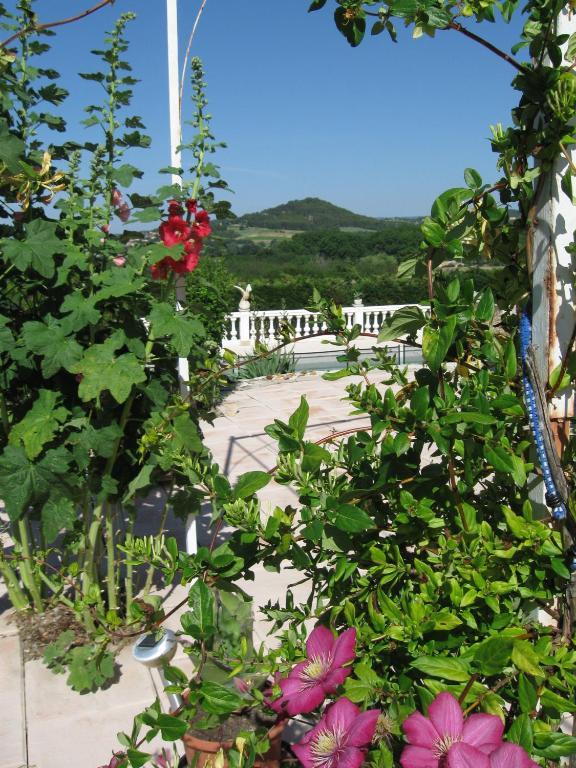 La Bastide Des Raisins Apartman Apt Kültér fotó